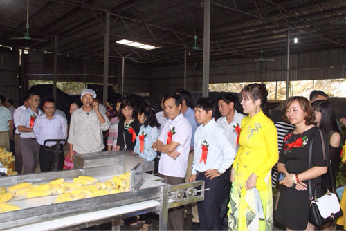 Hội nghị mô hình trình diễn kỹ thuật chế biến nông sản tại công ty cổ phần thực phẩm Á Châu