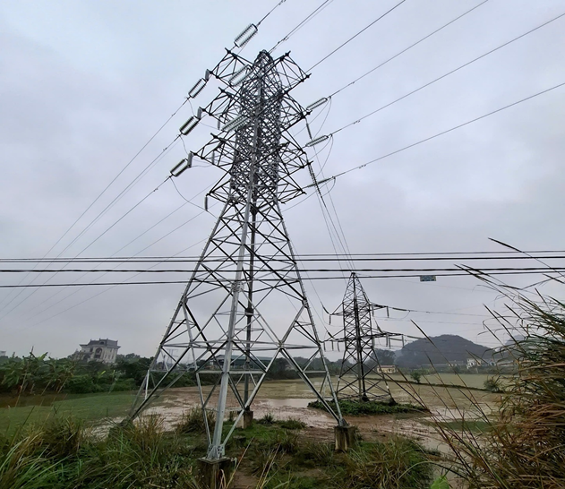 Sở Công Thương kiểm tra công tác nghiệm thu hoàn thành công trình: Cải tạo đường dây 110kV Ninh Bình- Hướng Dương (XM Tam Điệp).